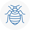 Bed Bug Extermination In Herefordshire